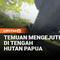Ratusan aparat gabungan TNI–Polri membongkar sebuah kamp yang diduga menjadi basis kelompok kriminal bersenjata (KKB) di Kali Nabarua, Kabupaten Nabire, Papua Tengah.