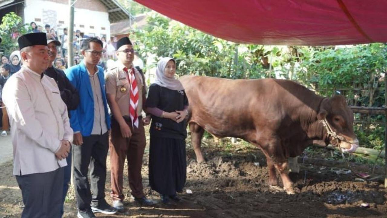 Bupati Garut Serahkan Sapi Kurban Presiden untuk Warga Cigedug