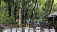 Proses pemindahan 8 ekor yaki dari kandang habituasi di Gunung Masarang, Kelurahan Rurukan, Kota Tomohon, Sulut.