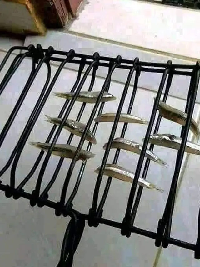 6 Menu Sahur Pakai Ikan Ukuran Kecil Ini Ngenes Banget, Pengiritan