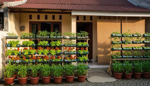 Kebun Sayur dari Botol Bekas yang Cocok untuk Hiasan Teras/ Ilustrasi AI