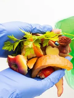 Tips mengelola sampah dapur. (Foto: Freepik)