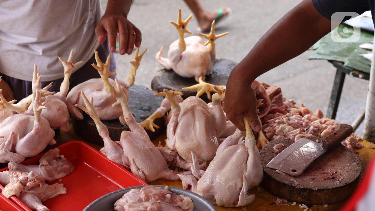 FOTO: Awal Ramadan, Harga Daging Ayam Potong Alami Kenaikan