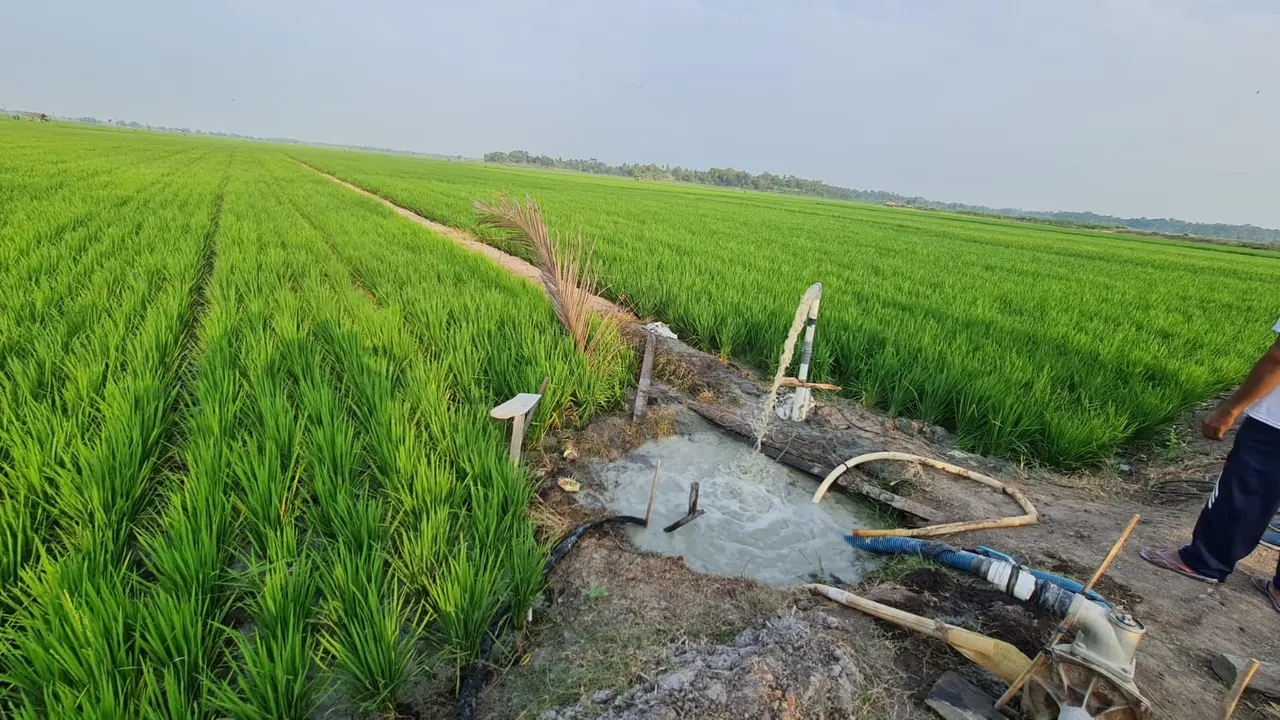 5.500 Ha Sawah di Lampung Selatan Diselamatkan Bantuan Pompa Air Submersible