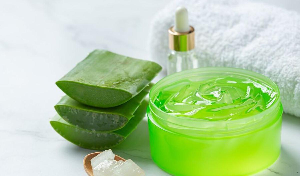10. Aloe Vera: Bahan Alami untuk Kulit Kering