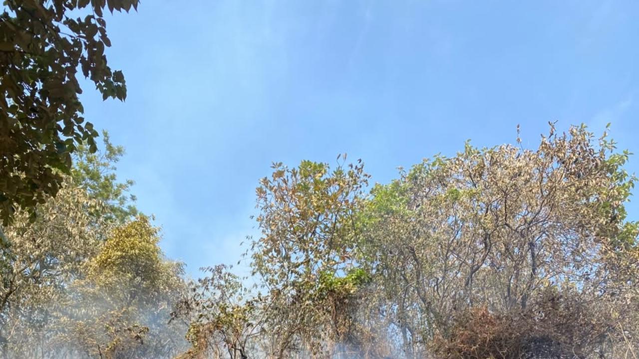 350 Hektare Hutan di Kaki Bukit Senubut Lahat Terbakar