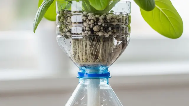 Ide Kebun Hidroponik Pakai Botol Plastik Bekas (AI)
