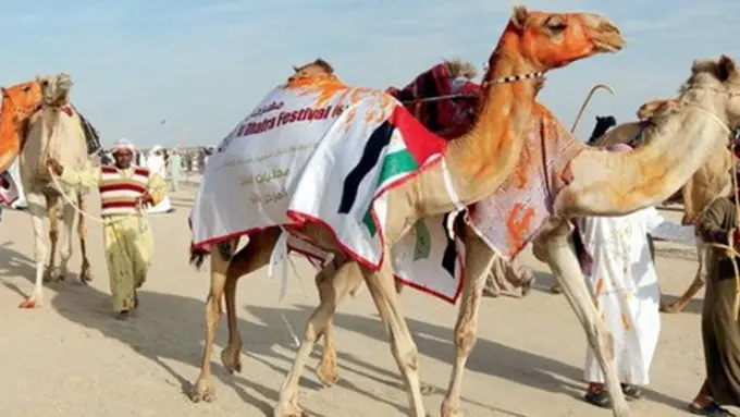 (c) odditycentral.com