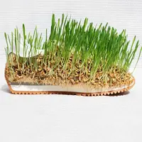 Loewe merilis sneakers rumput yang sempat viral di Paris Fashion Week Spring/Summer 2023. (@loewe).