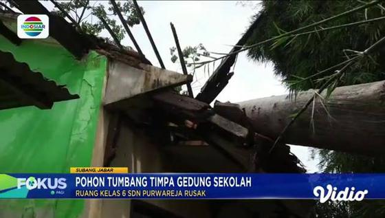 Fokus Pagi : Dampak Hujan Deras, Permukiman di Pandeglang Terendam Banjir