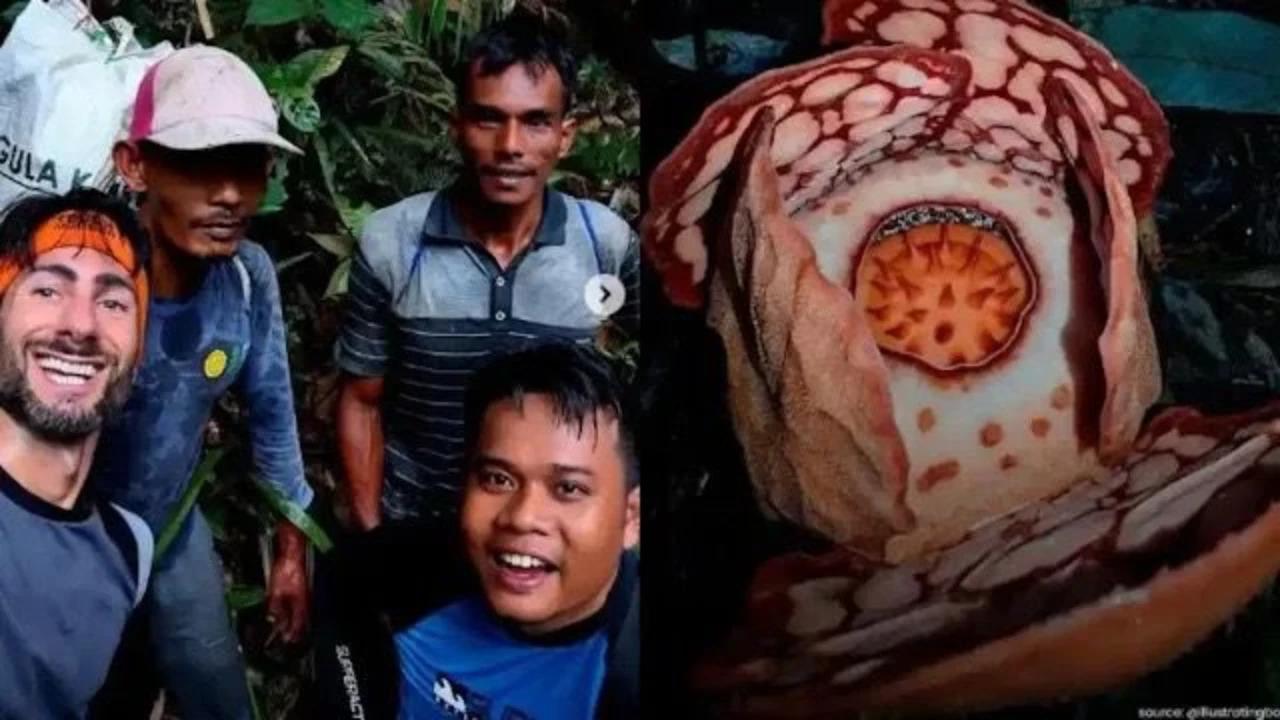 Penemuan Rafflesia Langka, UKP Pariwisata: Tanpa ilmuwan Indonesia, Rafflesia Hasseltii Tak Akan Ditemukan
