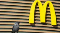 Seekor burung duduk di sebelah restoran McDonald's yang ditutup untuk pengunjung di St. Petersburg, Rusia, Selasa (15/3/2022). Gerai makanan siap saji McDonald's resmi menutup 850 gerainya yang beroperasi di Rusia pada 14 Maret 2022. (AP Photo)
