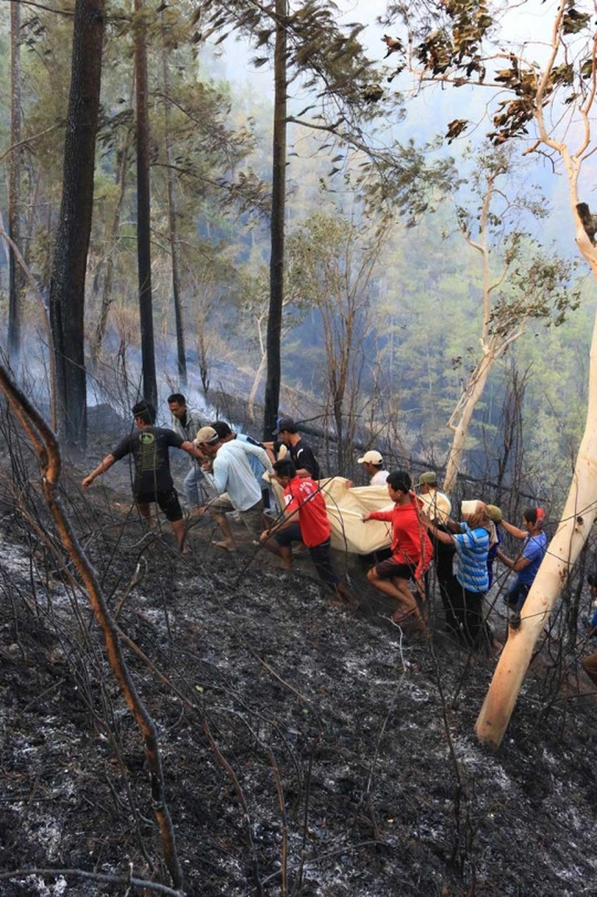 Evakuasi 4 korban tewas kebakaran hutan pinus di Ponorogo