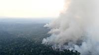 Foto udara dari area hutan hujan Amazon yang gundul akibat kebakaran ilegal di kotamadya Labrea, Negara Bagian Amazonas, Brasil, diambil pada tanggal 20 Agustus 2024. (EVARISTO SA / AFP)