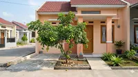 8 Pohon Buah untuk Rumah Subsidi yang Tidak Membuat Halaman Jadi Sarang Tikus, Asri dan Bersih