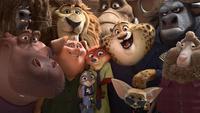 6 Movies About Zoo Animals That Kids Will Enjoy