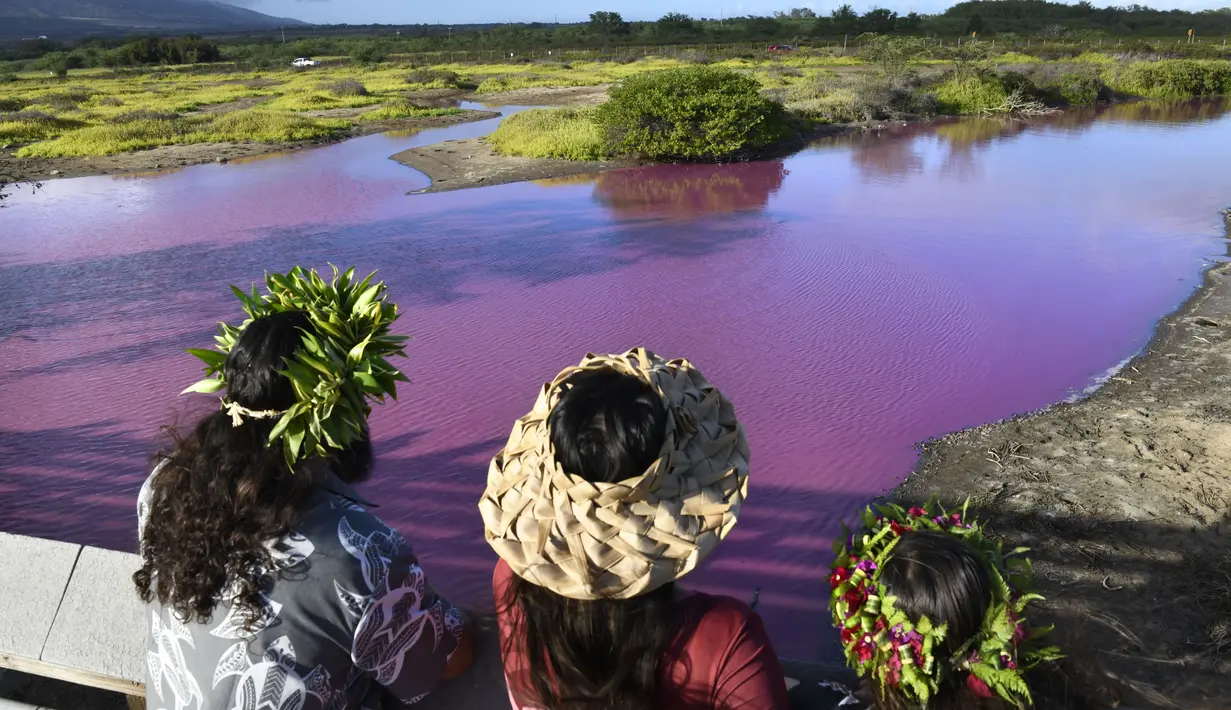 Pengunjung yang penasaran berbondong-bondong mengunjungi taman tersebut setelah foto telaga merah muda tersebut muncul di media sosial. (Matthew Thayer/The Maui News via AP)