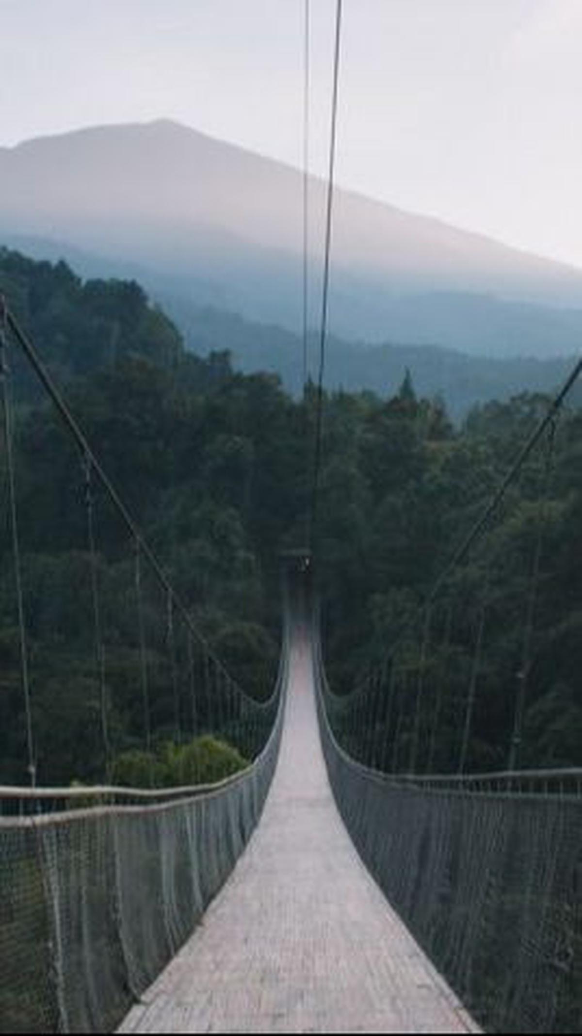 <b>Situ Gunung Suspension Bridge</b>