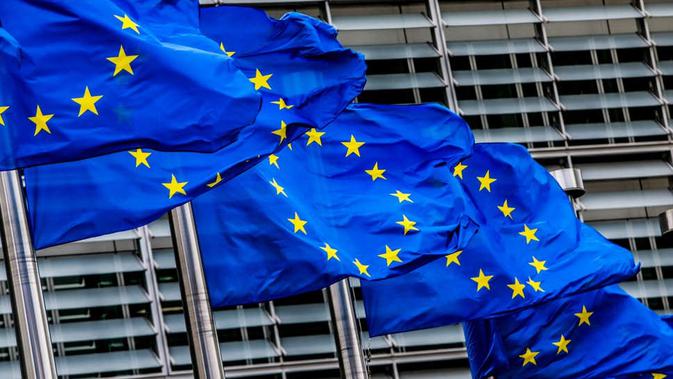 Dewan UE Dorong Euro Digital: Pembayaran Fleksibel Online & Offline