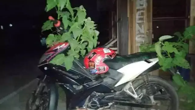 7 Potret Kendaraan Ditumbuhi Tanaman Liar dari Motor Hingga Mobil Ini Heran