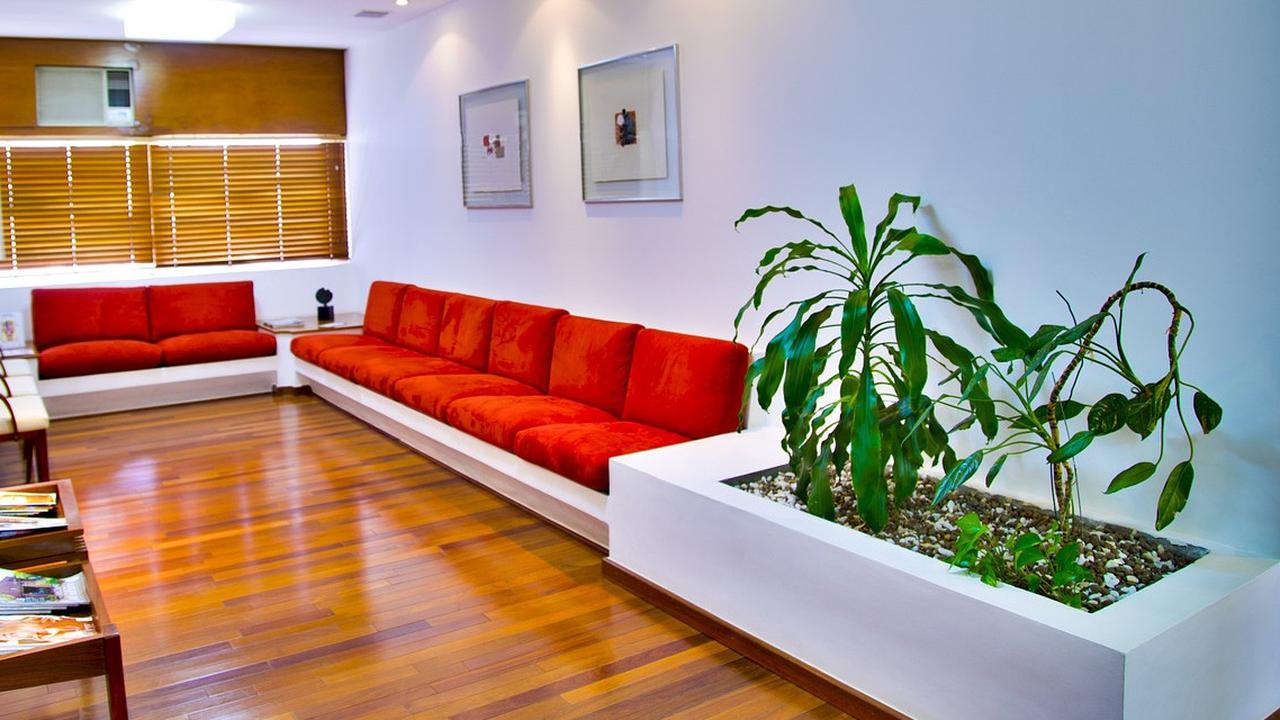 Ruang Tamu Lebih Asri dan Hidup dengan 7 Tanaman Indoor Estetik ala Pinterest