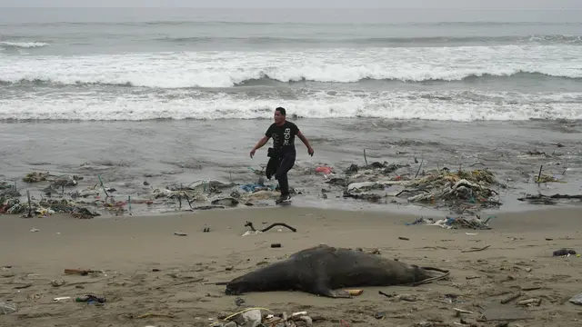 Sampah Pantai