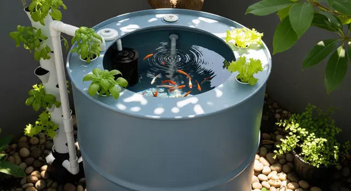 8 Model Kolam Ikan dari Drum Bekas, Bentuknya Sederhana tapi Unik