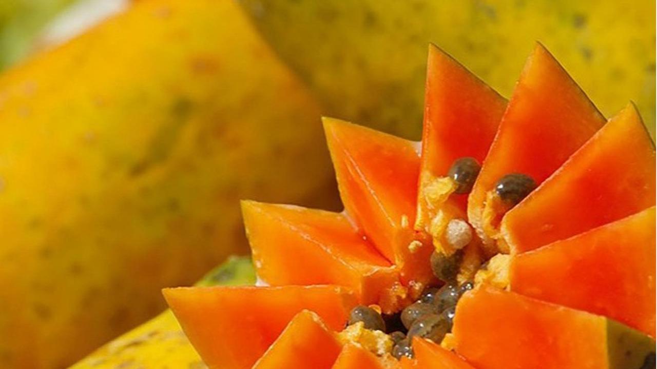 10 Alasan Ilmiah Mengapa Makan Pepaya Saat Perut Kosong Baik untuk Detoks, Pencernaan, hingga Kesehatan Kulit