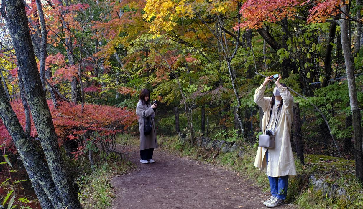 Orang-orang yang memakai masker untuk membantu mengekang penyebaran virus corona berfoto sambil berjalan di sepanjang jalan setapak saat pepohonan mulai berubah warna dedaunan musim gugur di Nagano, barat laut Tokyo, Jepang, Senin (26/10/2020). (AP Photo/Kiichiro Sato)