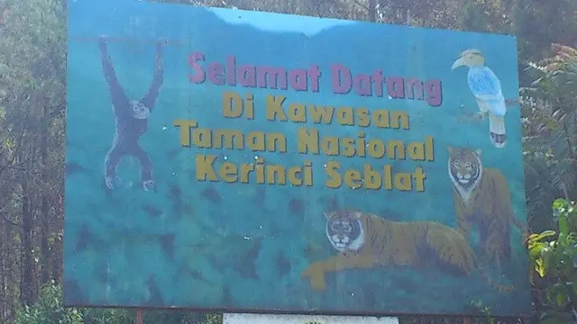 Taman Nasional Kerinci Seblat