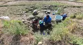 Warga mengambil air untuk kebutuhan sehari-hari pada kubangan bekas sawah di  kawasan Weninggalih, Jonggol, Jawa Barat, Selasa, 25 Agustus 2026. (KLY/ Arie Basuki)