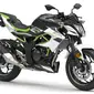 Kawasaki Z125 (News.maxabout.com)