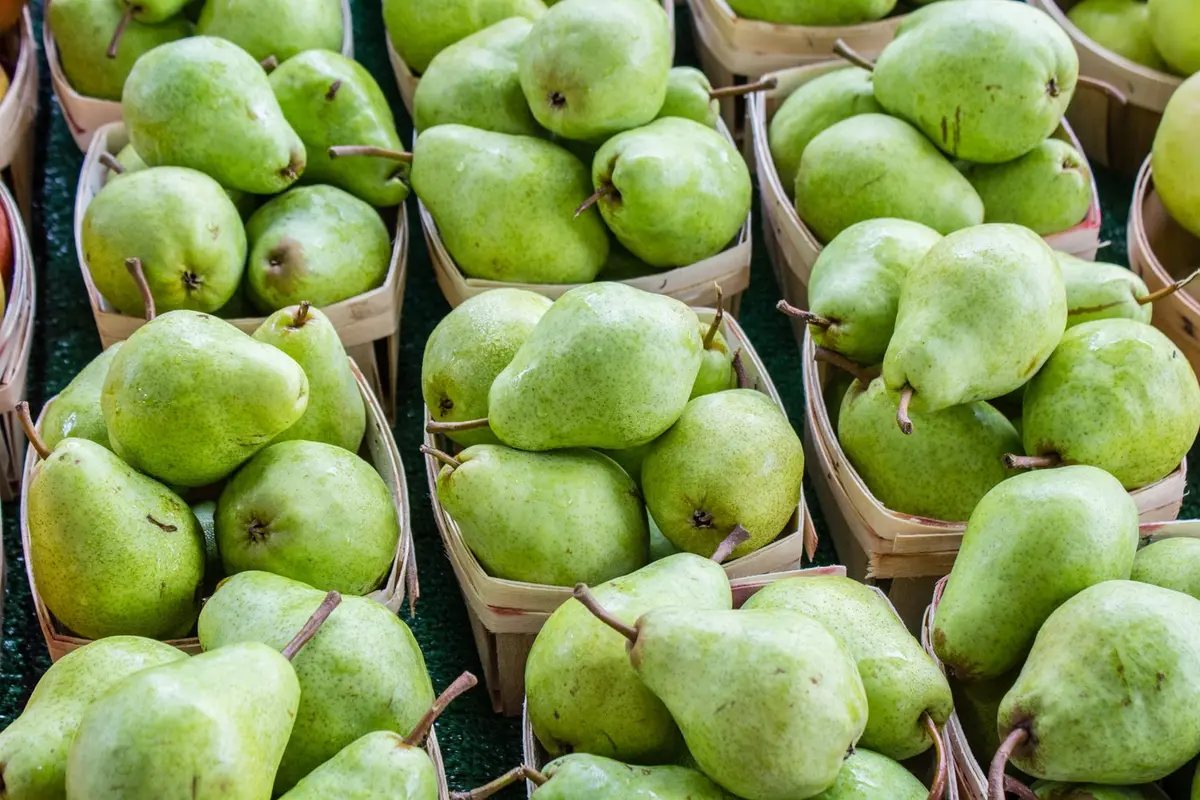buah pir