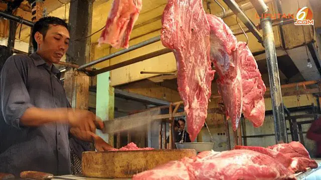 KIB: Kerjasama Ternak Sapi di NTT, Niat Jokowi Tekan Impor Daging