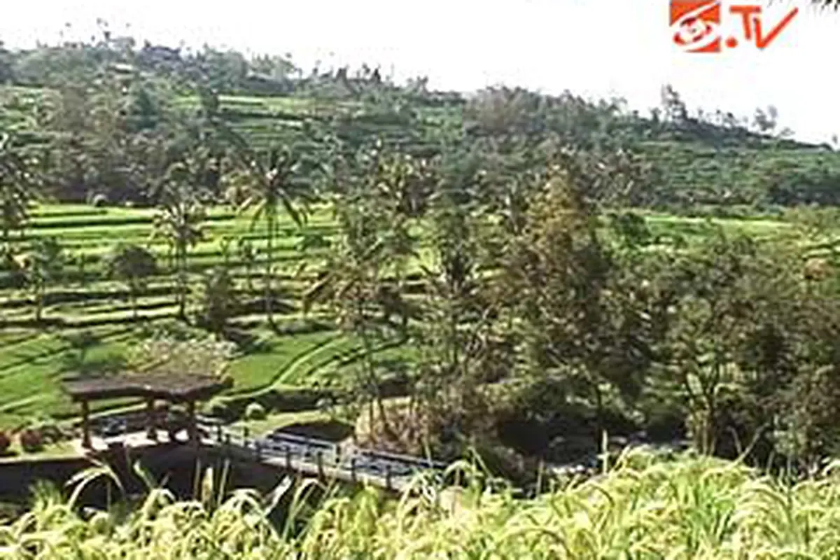 120524apertanian-subak.jpg