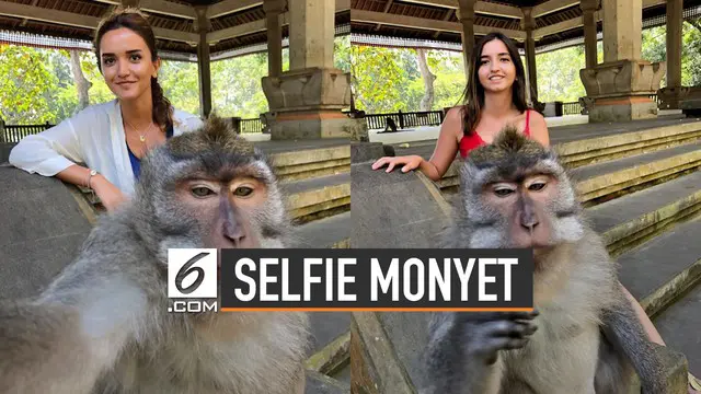 Akhir-akhir ini makin banyak foto selfie manusia dengan hewan. Sekilas bila dilihat, si hewan nampak mahir memegang kamera.