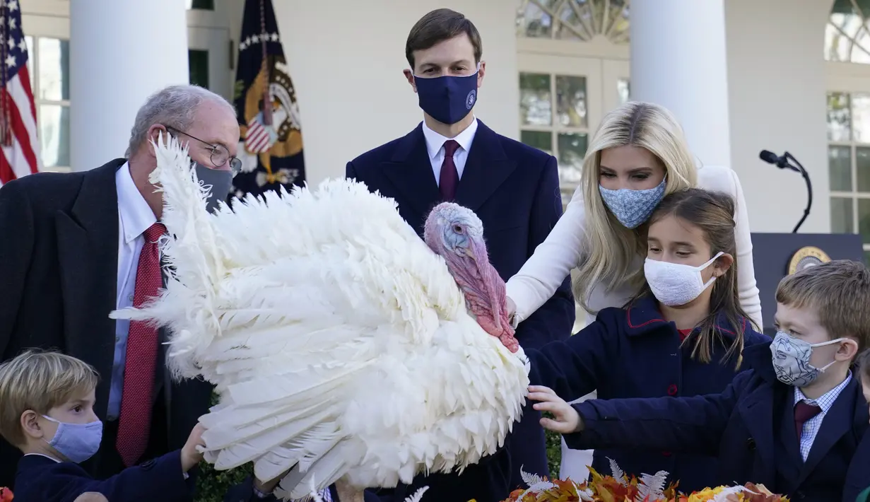 Asisten Presiden Donald Trump, Ivanka Trump (ketiga kanan) bersama Penasihat Gedung Putih Jared Kushner (tengah) serta anak mereka Arabella Kushner dan Theodore Kushner berkumpul dekat Corn si Kalkun Thanksgiving Nasional di Gedung Putih, Washington, AS, Selasa (24/11/2020). (AP Photo/Susan Walsh)