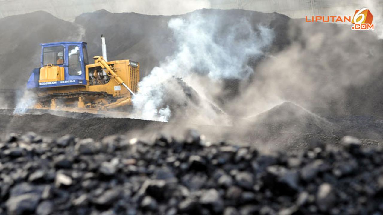 batu-bara-terbesar-130910b.jpg