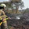 30 Hektare Lahan di Rorotan Terbakar, Diduga Sengaja Dibakar
