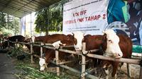 Jateng memiliki potensi peternakan yang bisa dikembangkan. (foto: Istimewa)