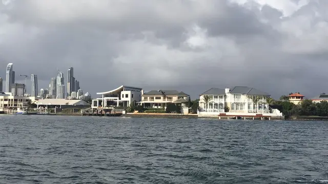 Wisata Menakjubkan Bersama Ikan Paus dan Burung Pelikan di Gold Coast Australia