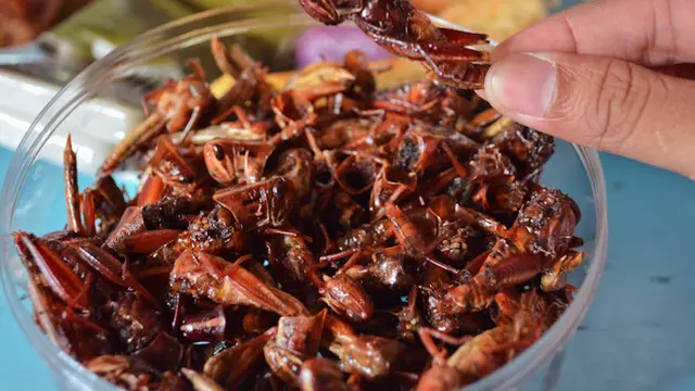 Belalang Goreng