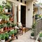 7 Konsep Teras Rumah Sempit Tapi Punya Kebun Mini dengan Rak Bertingkat
