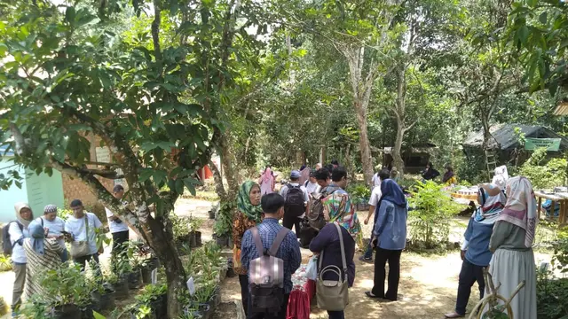 Tanaman Obat dan Harapan Hidup Warga Desa Gajah Mati Musi Banyuasin
