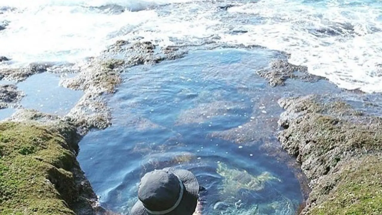 [Bintang] Nusa Tenggara