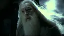 Para penggemar mengharapkan adanya kehadiran kisah LGBT di dunia Harry Potter yang diwakilkan oleh percintaan Dumbledore. (Warner Bros)