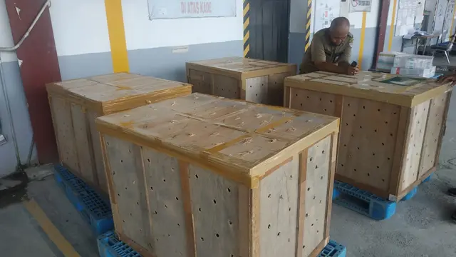Penyelundupan ribuan burun