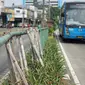 Sejumlah bambu menopang pagar pembatas jalur transjakarta di Jalan Otista Raya, Jakarta, Jumat (5/7/2019). Meskipun telah lama rusak, pagar besi berjeruji yang berfungsi sebagai pembatas agar orang tidak menyeberang secara sembarangan itu belum juga diperbaiki. (Liputan6.com/Immanuel Antonius)