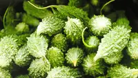 9 Cara Menanam Pare dalam Pot agar Buahnya Tidak Pahit Berlebihan