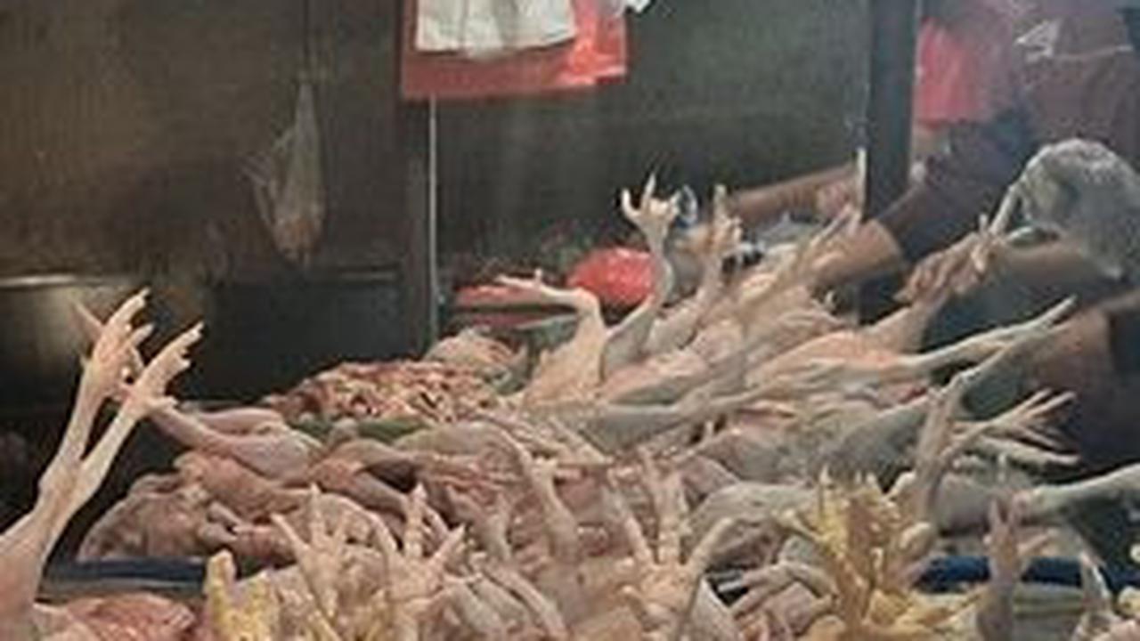 Harga Ayam Potong Naik Usai Iduladha, Pedagang di Pasar Bogor Keluhkan Turunnya Konsumen hingga 50 Persen